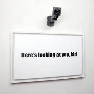 here's looking at you, kid, 30cm x 50cm, acrylic on canvas, framed, security camera, ©2014