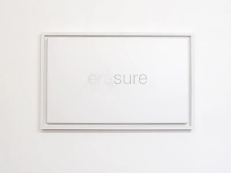 era, 30cm x 50cm, pencil on canvas,  framed, ©2014