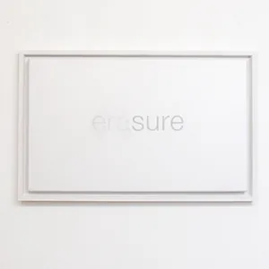 era, 30cm x 50cm, pencil on canvas,  framed, ©2014