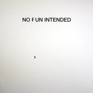 no fun intended, text-installation, dimensions variable, ©2020