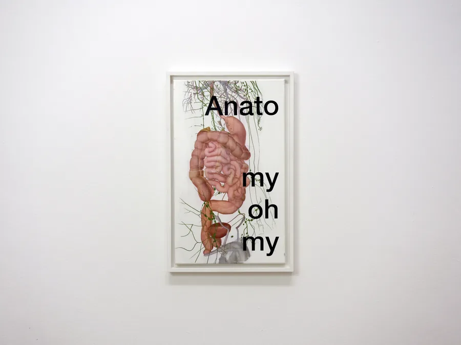 my anato, 30cm x 50cm, acrylic & collage on canvas, framed, © 2020