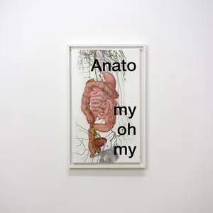 my anato, 30cm x 50cm, acrylic & collage on canvas, framed, © 2020