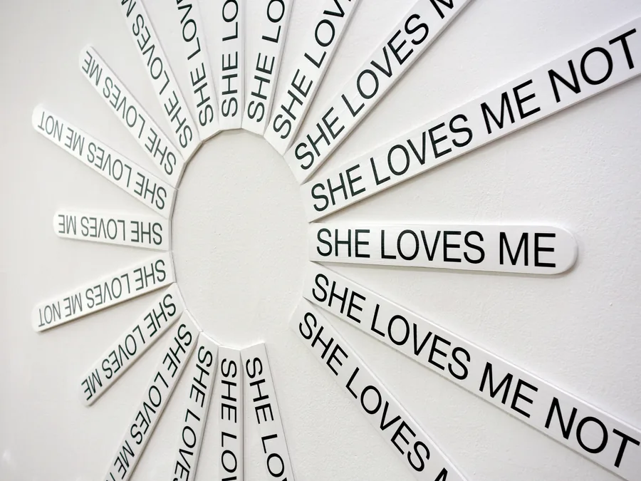 she loves me (not), detail, the petals reading she loves me and she loves me not