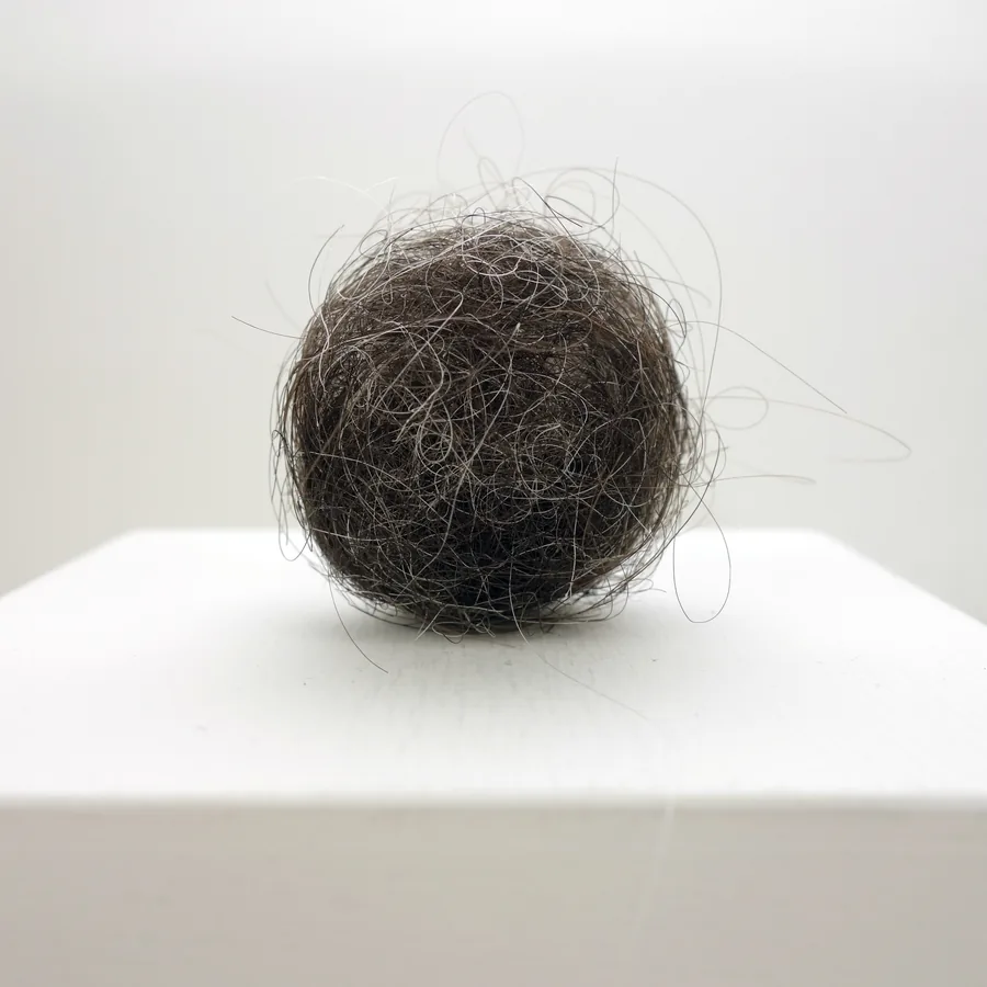 review & outlook, detail, the tuft standing on present
