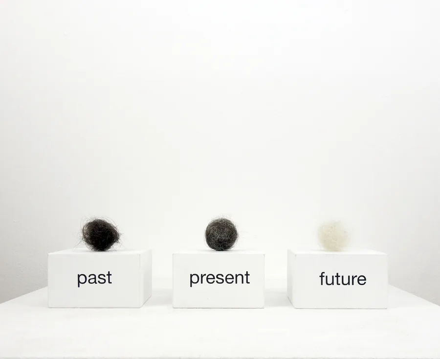 review & outlook, text-installation with hair, ©2019