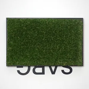 gras/sarg, 30cm x 50cm, artificial grass mat, vinyl letters, framed