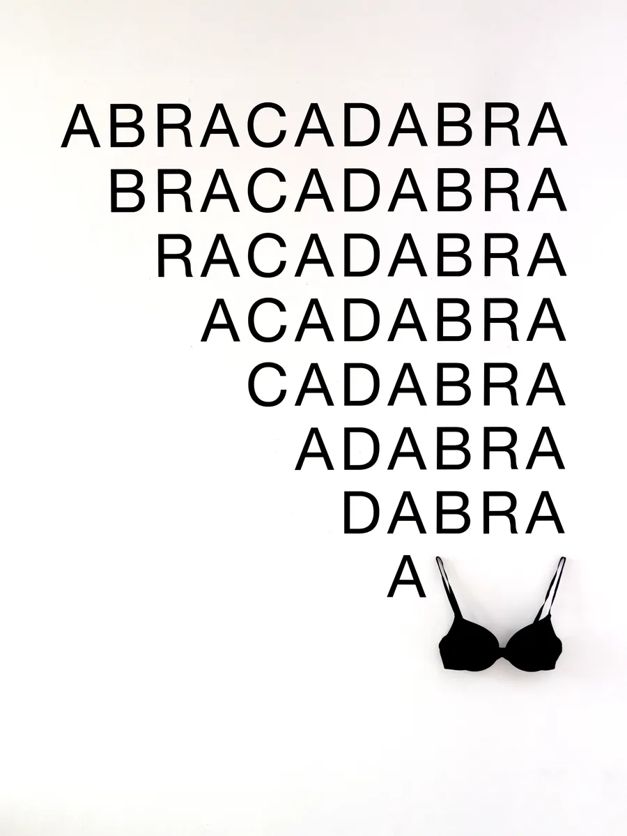 a bra, text-installation with bra, ©2011/2016