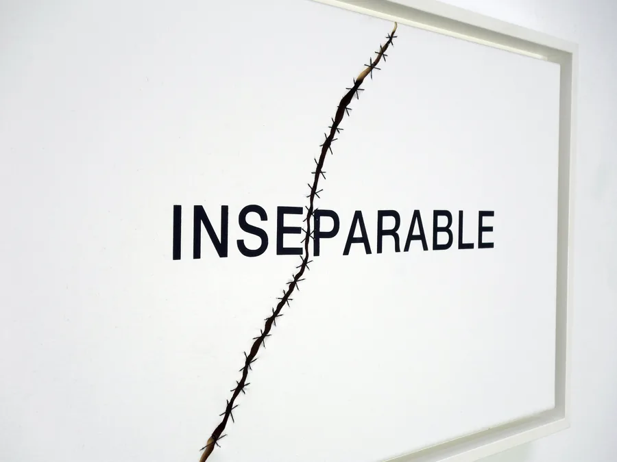 the parable, the work seen from the side