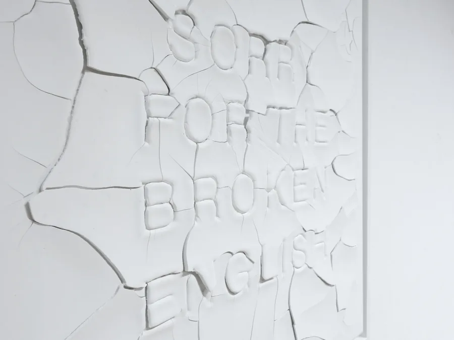 broken english, detail, the raised letters in the cracks