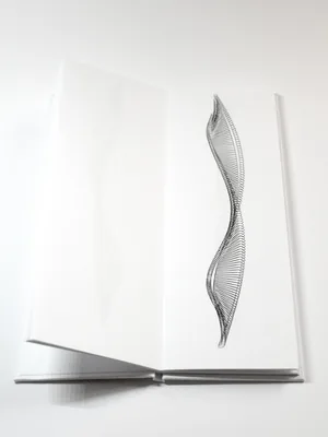 falling alphabet, the open book, the letter falling down the page