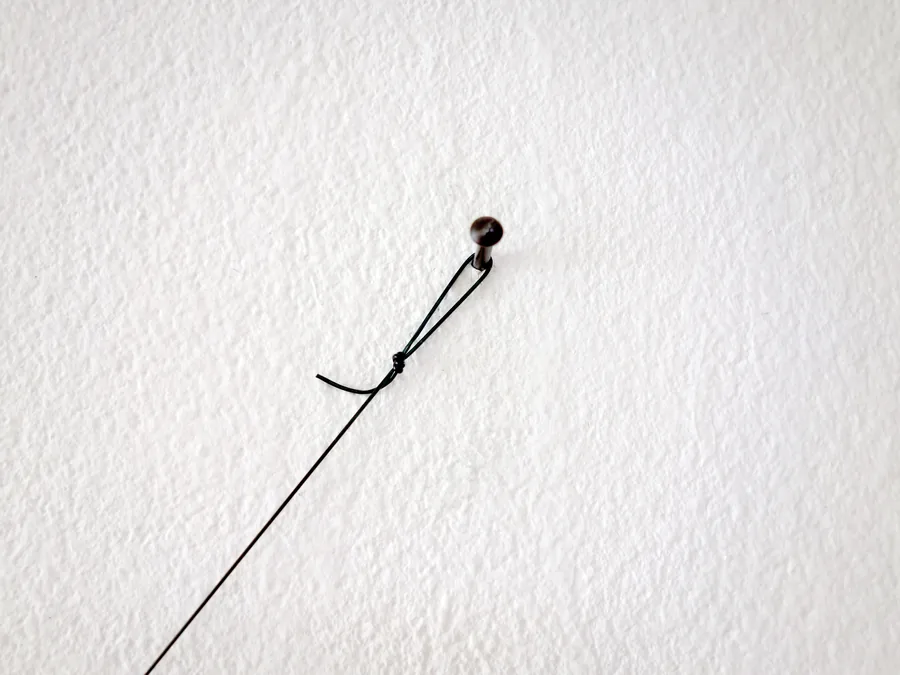 »just hanging around«, view 7